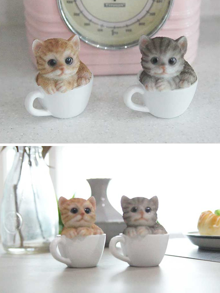미니 컵속의 고양이